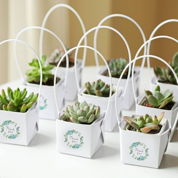 Plant Eco-Friendly Employee Thank You Present - Image 3