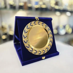 Gold and Silver Plated Velwet Box Award